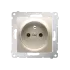 elektryczny.pl-premium_złoty_mat_DGZ1Z.01-44.png