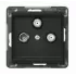 R1.jpg