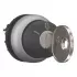 Eaton-Przelacznik-kluczykowy-z-samopowrotem-216894-Kod-producenta-216894.jfif