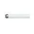 872790097111800.PNG