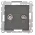 TAK01.PNG