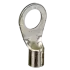 erg-Photoroom.png