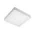 LAMPA.jpg