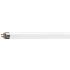 MASTER TL5 HE 35W 830 SLV 40.PNG