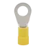 erg.PNG