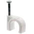 PAWBOL. (2).png
