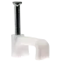 PAW-.png