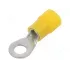 koe.webp