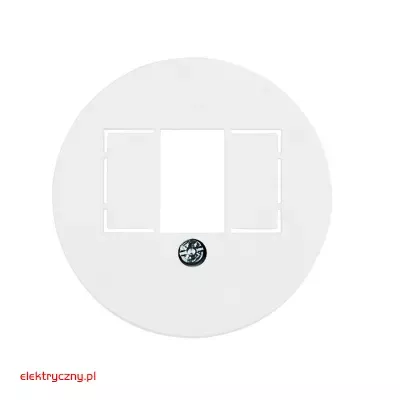 elektryczny.pl_element_cetralny_1040_do gniazda_glosnikowego_1930_Hager.jpg
