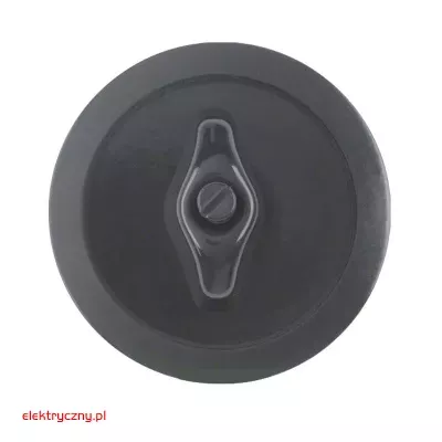 elektryczny.pl_element_cetralny_164701_z_pokretlem_1930_Hager.jpg