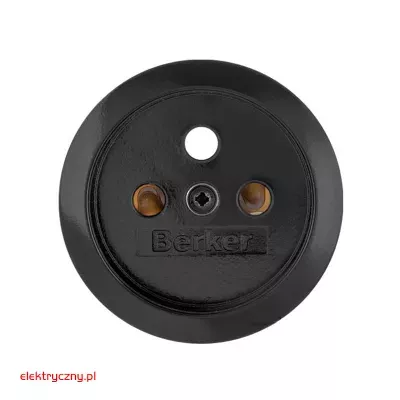 elektryczny.pl_plytka_czolowa_39657901_do_gniazda_Glas1930_Hager.jpg