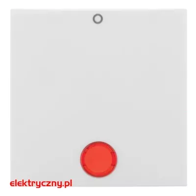 elektryczny.pl_Berker_BIAŁY_KLAWISZ-SOCZEWKA_5316248999.jpg
