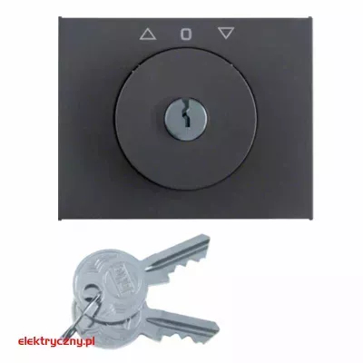 elektryczny.pl_BERKER_K1_ANTRACYT_PŁYTKA_ŻAL_Z_KLUCZEM_1079720600_HAGER.jpg
