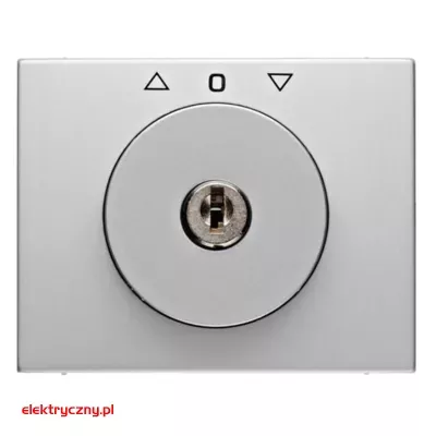 elektryczny.pl_K.5_PŁYTKA_CZOŁOWA_KLUCZYKIEM_1079720300_HAGER.png