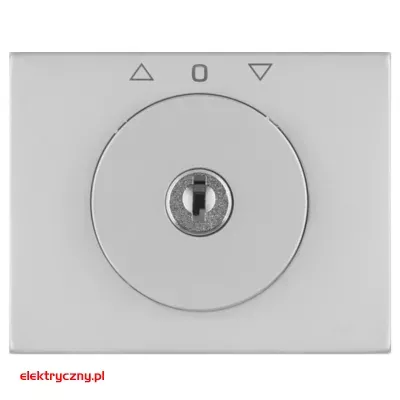 elektryczny.pl_K.5_PŁYTKA CZOŁOWA Z KLUCZYKIEM_1079720400_HAGER.png