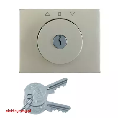 elektryczny.pl_K.5_PŁYTKA CZOŁOWA Z KLUCZYKIEM_1079730400_HAGER.png