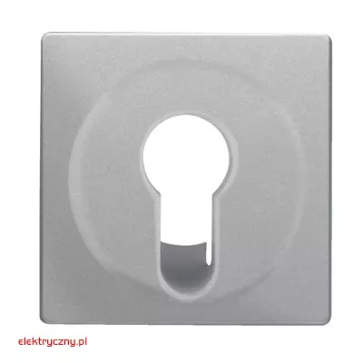 elektryczny.pl_plytka_czolowa_do_lacznika_na_klucz_15076084_q.1_q.3_q.7_Hager.jpg