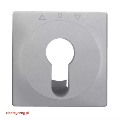 elektryczny.pl_plytka_czolowa_do_lacznika_zaluzjowego_na_klucz_15066084_q.1_q.3_q.7_Hager.jpg
