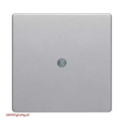 elektryczny.pl_Q1_Q3_plytka_czolowa_aluminium_do_przylacza_kablowego_10196084_Hager.jpg