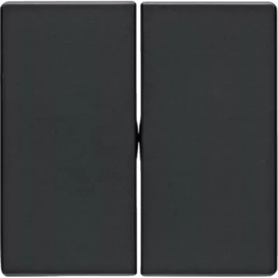 ELEKTRYCZNY_PL_klawisz_podwojny_antracyt_aksamit_berker_q1_q3_q7_16236086.jpg