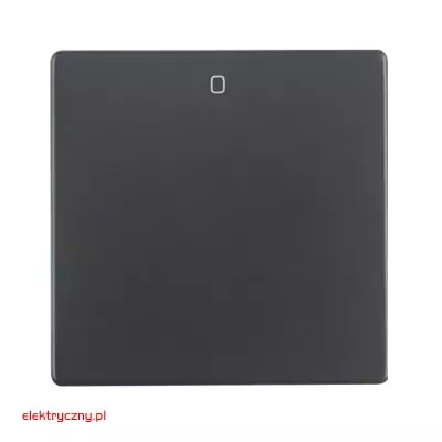elektryczny.pl_klawisz_pojedynczy_zero_Q.1_Q.3_16226086_Hager.jpg