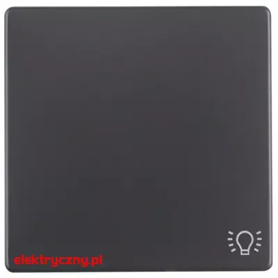 elektryczny.pl_Q.1_Q.3_antracyt_aksamit_16206046.jpg