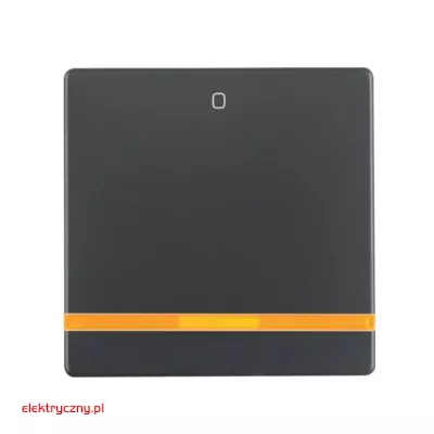 elektryczny.pl_klawisz_pojedynczy_Q.1_Q.3_16246086_Hager.jpg
