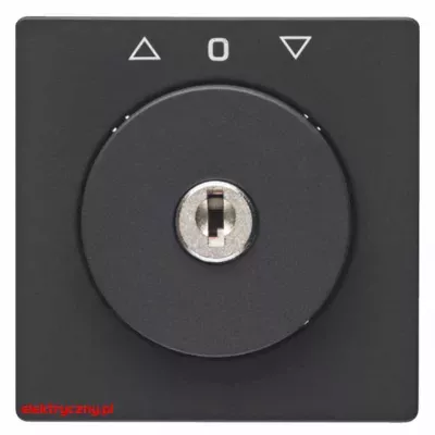 elektryczny.pl_BERKER_Q1_PŁYTKA_CZOŁOWA_NA_KLUCZ_1083608600_HAGER.jpg