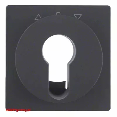 elektryczny.pl_BERKER_Q1_PŁYTKA_CZOŁOWA_NA_KLUCZ_15066086_HAGER.jpg
