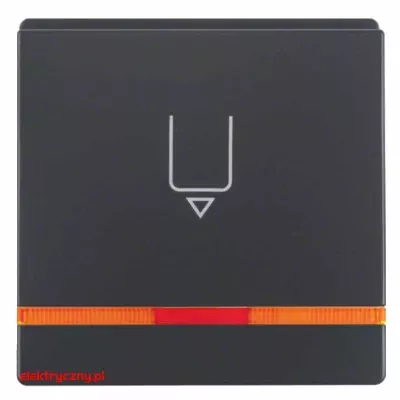 elektryczny.pl_BERKER_Q1_PŁYTKA_CZOŁOWA_NA_KARTĘ_HOTELOWĄ_16406086_HAGER.jpg