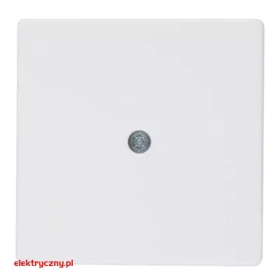 elektryczny.pl_BERKER_Q1_PŁYTKA_CZOŁOWA_10196089_HAGER.jpg