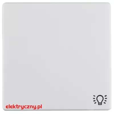 elektryczny.pl_Q.1_Q.3_biały_aksamit_16206049.jpg