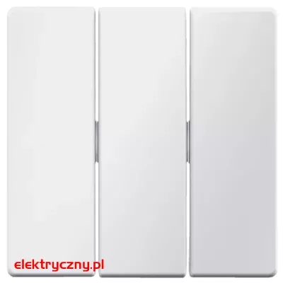elektryczny.pl_Q.1_Q.3_biały_aksamit_16656089.jpg