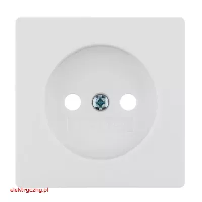 elektryczny.pl_Q1_Q3_plytka_czolowa_bialy_do_gniazda_3967036086_Hager.jpg