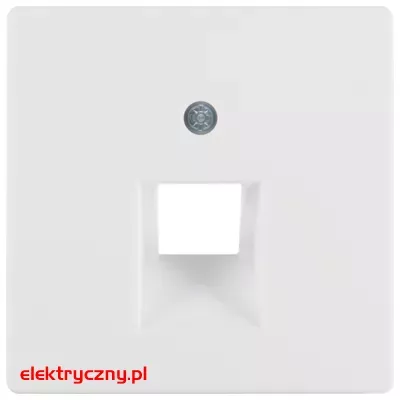 elektryczny.pl_Q.1_Q.3_biały_aksamit_14076089.jpg