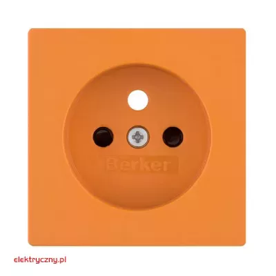 elektryczny.pl_plytka_czolowa_do_gniazda_pojedynczego_3965766014_q.1_q.3_q.7_Hager.jpg