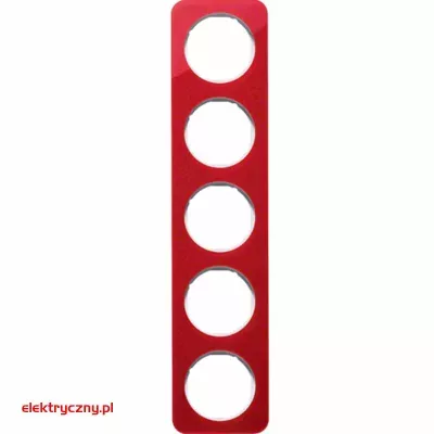 elektryczny.pl_BERKER_R.1_10152349.jpg