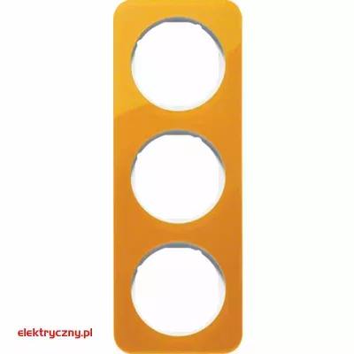 elektryczny.pl_BERKER_R.1_10132339.jpg
