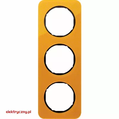 elektryczny.pl_BERKER_R.1_10132334.jpg