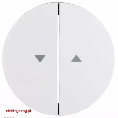 elektryczny.pl_BERKER_R.1_16252089.jpg