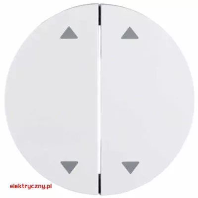 elektryczny.pl_BERKER_R.1_16442089.jpg