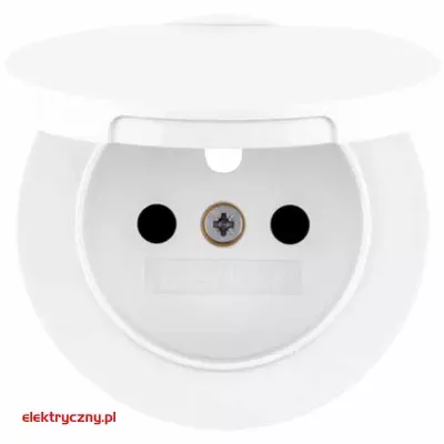 elektryczny.pl_BERKER_R.1_3965832089.jpg