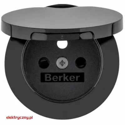 elektryczny.pl_BERKER_R.1_3965832045.jpg