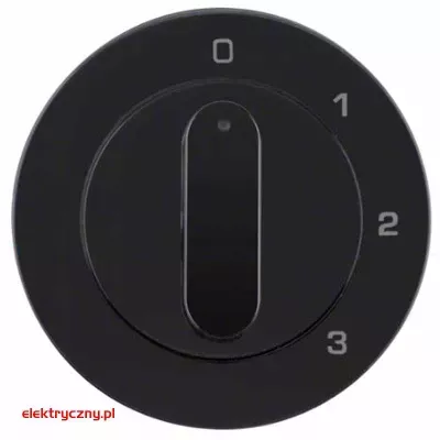 elektryczny.pl_BERKER_R.1_1096204500.jpg