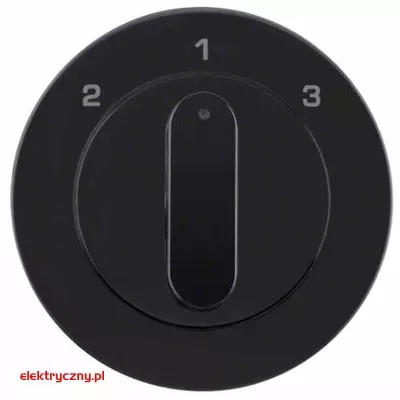 elektryczny.pl_BERKER_R.1_1084204500.jpg