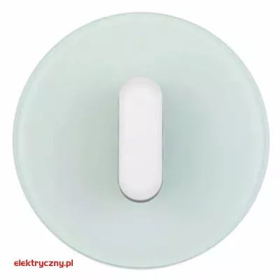 elektryczny.pl_PŁYTKA_OBROTOWA_ŁĄCZNIKA_SZKŁO_BIAŁE.jpg