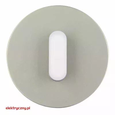elektryczny.pl_PŁYTKA_OBROTOWA_ŁĄCZNIKA_STAL_BIAŁY.jpg