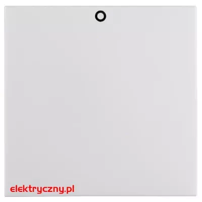 elektryczny.pl_bialy_mat_klawisz_5316228999.jpg