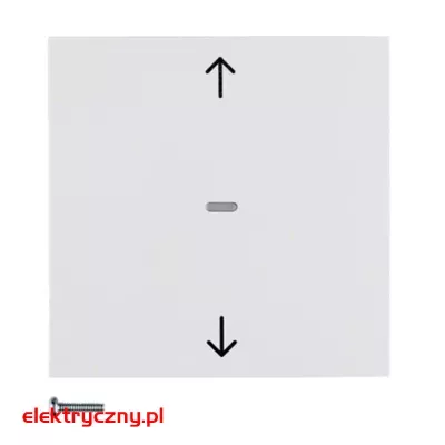 elektryczny.pl_przycisk_zal_bialy_85241189.jpg