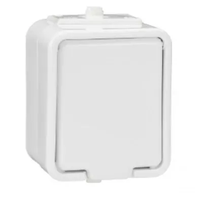 schneider_cedar.jpg